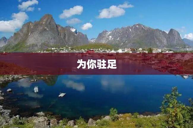 为你驻足