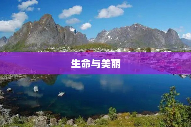 生命与美丽