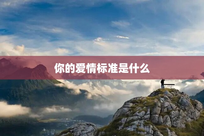 你的爱情标准是什么