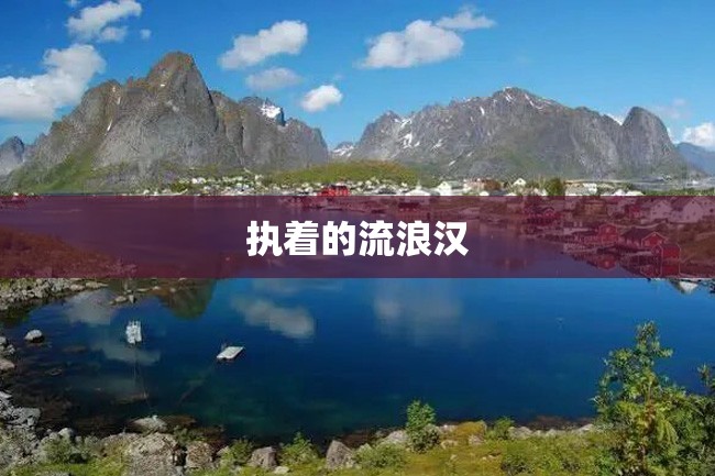 执着的流浪汉