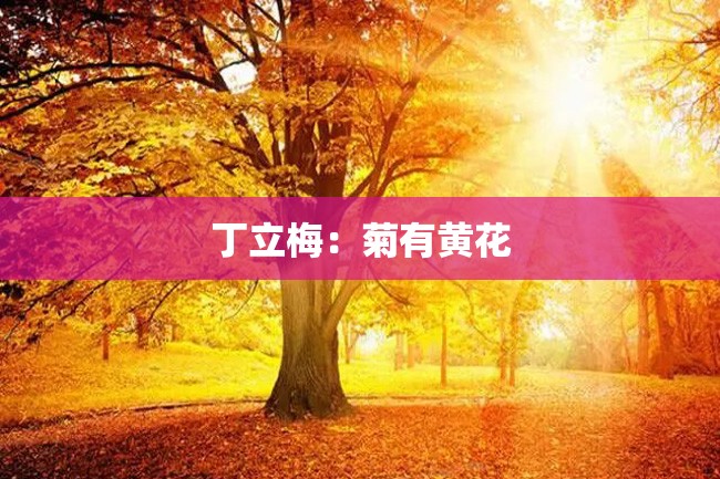 丁立梅:菊有黄花