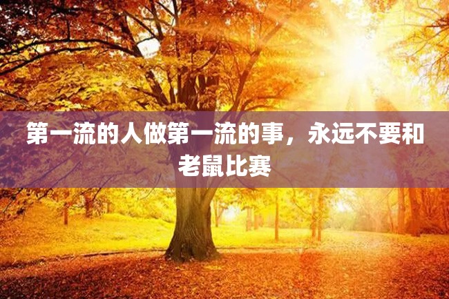 第一流的人做第一流的事,永远不要和老鼠比赛