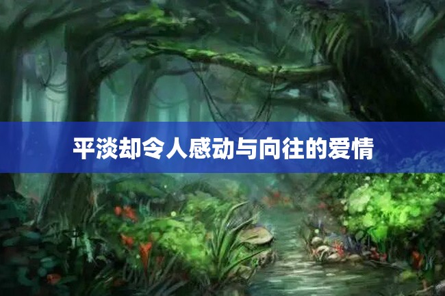 平淡却令人感动与向往的爱情