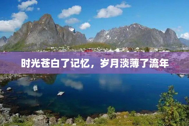 时光苍白了记忆,岁月淡薄了流年