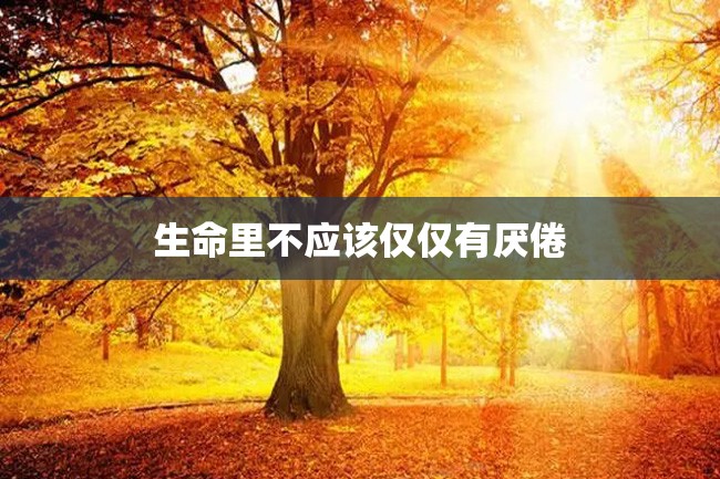 生命里不应该仅仅有厌倦