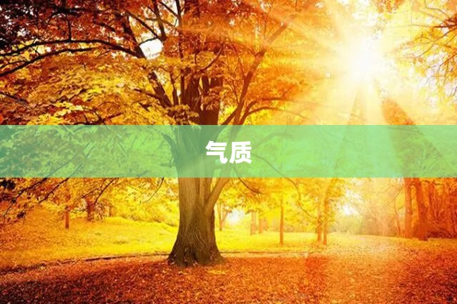气质