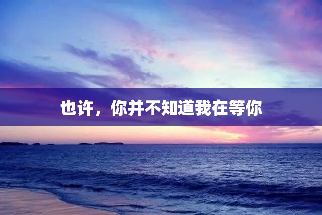 也许,你并不知道我在等你