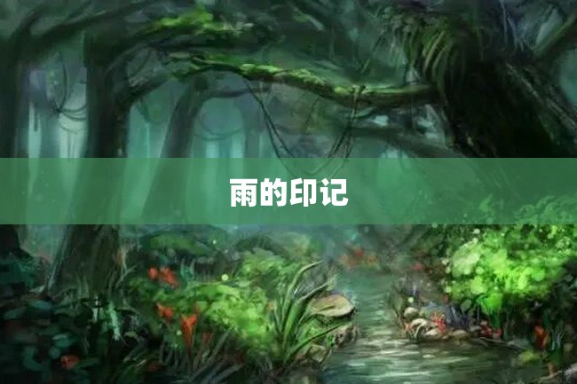 雨的印记