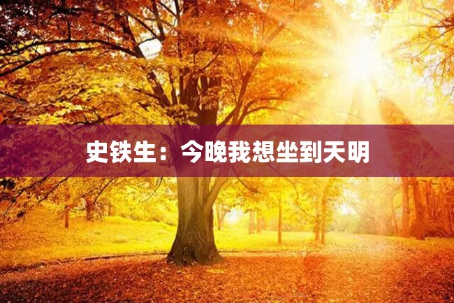 史铁生：今晚我想坐到天明