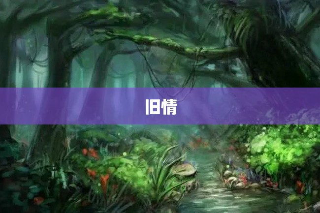 旧情