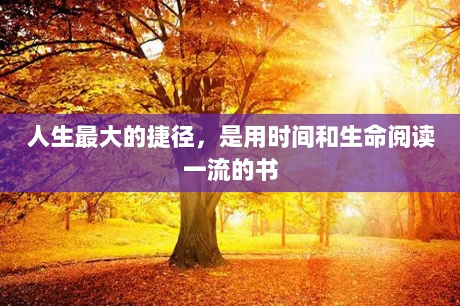 人生最大的捷径,是用时间和生命阅读一流的书