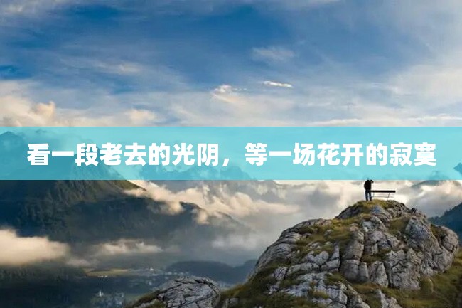 看一段老去的光阴,等一场花开的寂寞