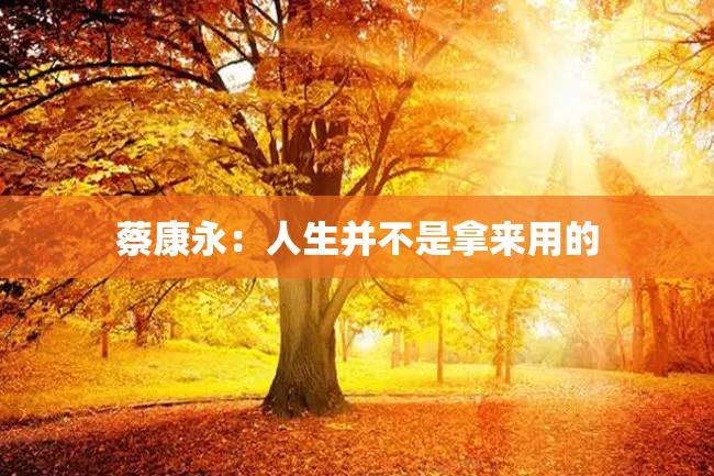 蔡康永：人生并不是拿来用的