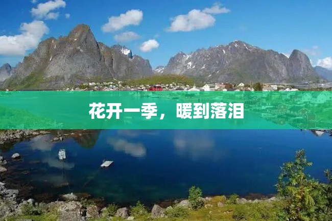 花开一季,暖到落泪