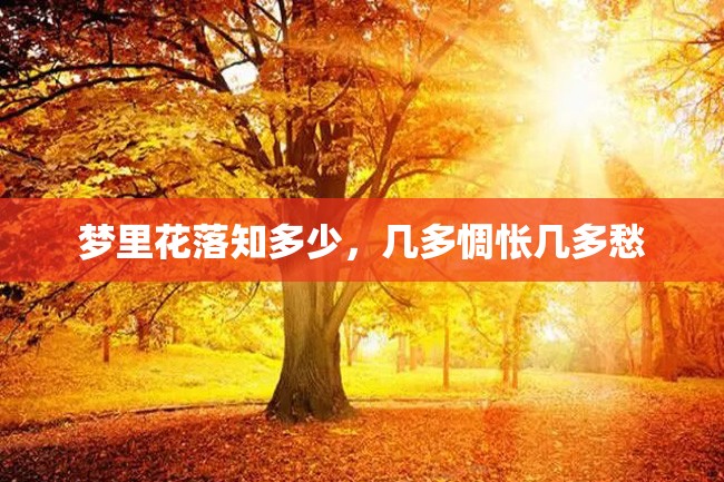 梦里花落知多少,几多惆怅几多愁