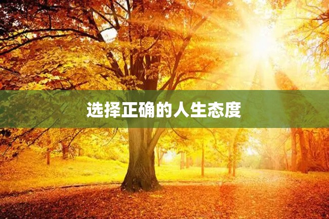 选择正确的人生态度