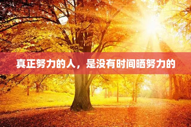 真正努力的人,是没有时间晒努力的