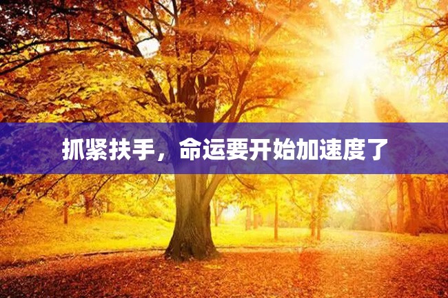 抓紧扶手,命运要开始加速度了