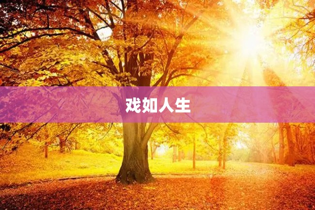 戏如人生