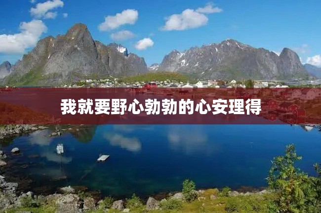我就要野心勃勃的心安理得