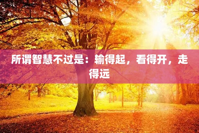 所谓智慧不过是:输得起,看得开,走得远