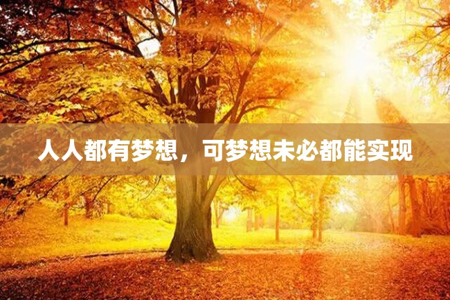 人人都有梦想,可梦想未必都能实现