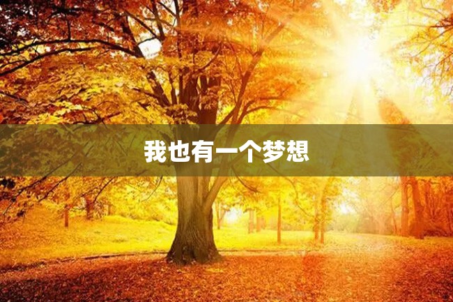 我也有一个梦想