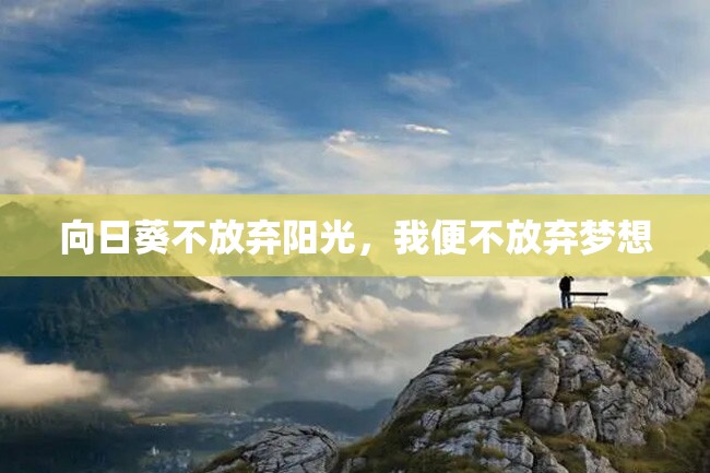 向日葵不放弃阳光,我便不放弃梦想
