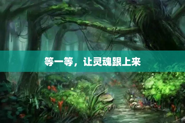 等一等,让灵魂跟上来