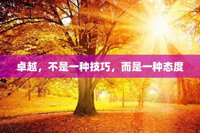 卓越,不是一种技巧,而是一种态度
