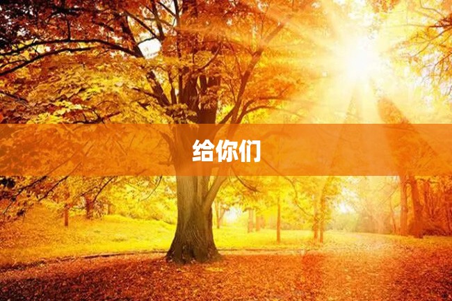 给你们