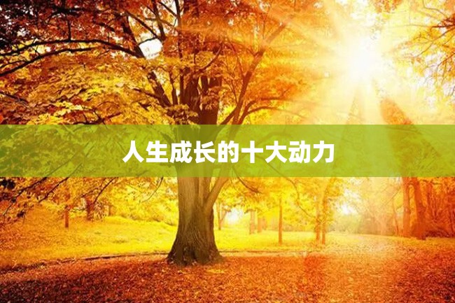 人生成长的十大动力