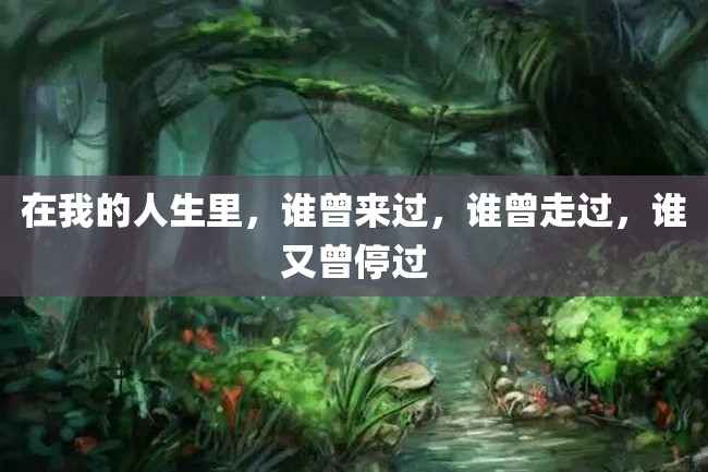 在我的人生里,谁曾来过,谁曾走过,谁又曾停过
