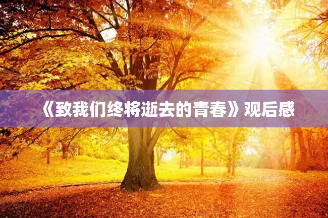 《致我们终将逝去的青春》观后感