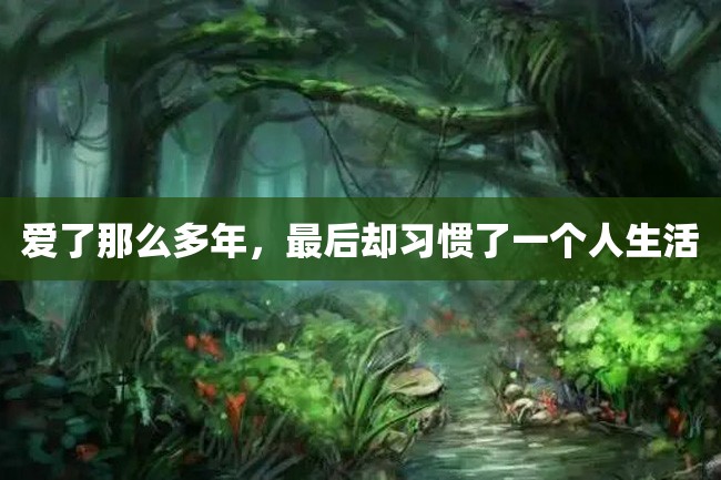 爱了那么多年,最后却习惯了一个人生活