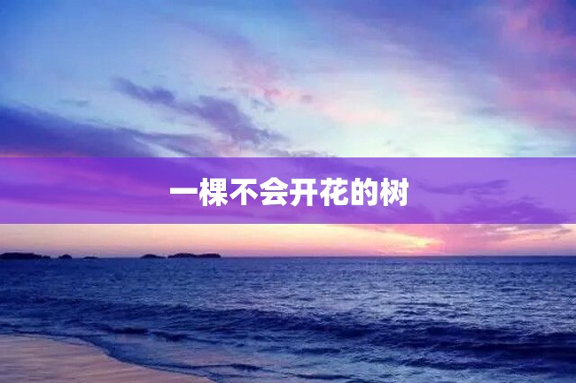 一棵不会开花的树