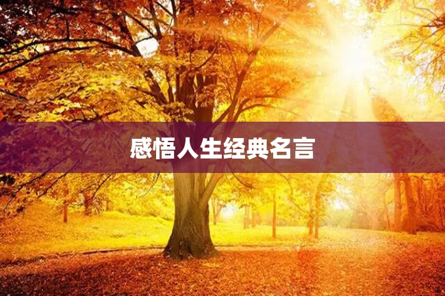感悟人生经典名言