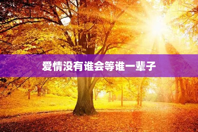 爱情没有谁会等谁一辈子