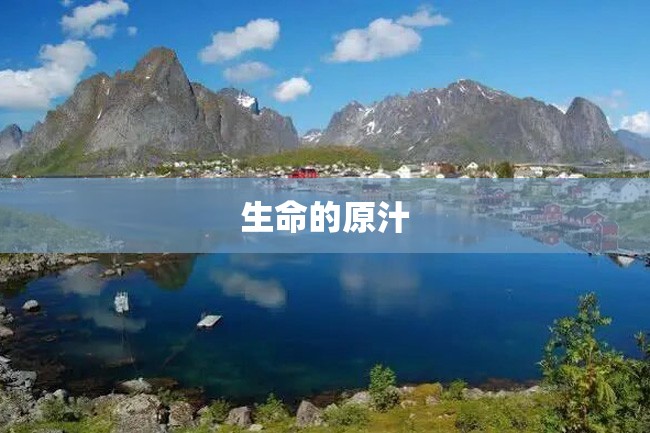 生命的原汁