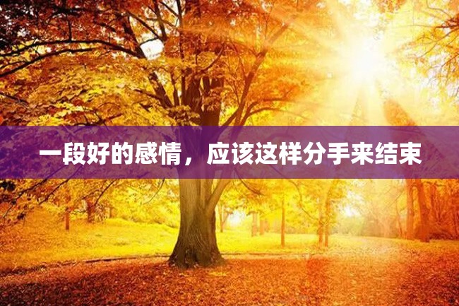 一段好的感情,应该这样分手来结束