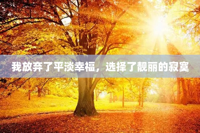 我放弃了平淡幸福,选择了靓丽的寂寞
