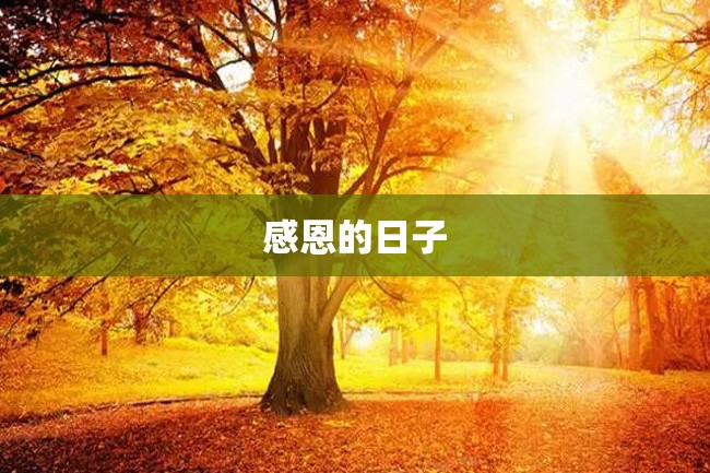 感恩的日子
