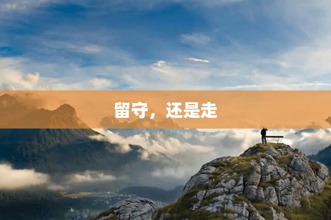 留守,还是走