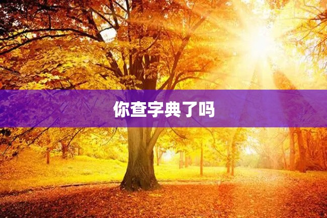 你查字典了吗