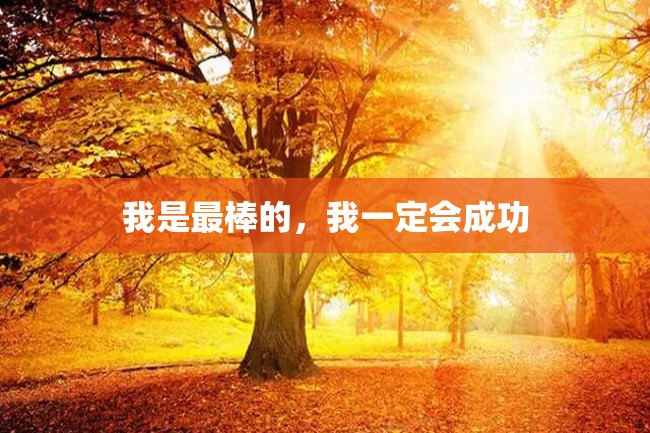 我是最棒的,我一定会成功