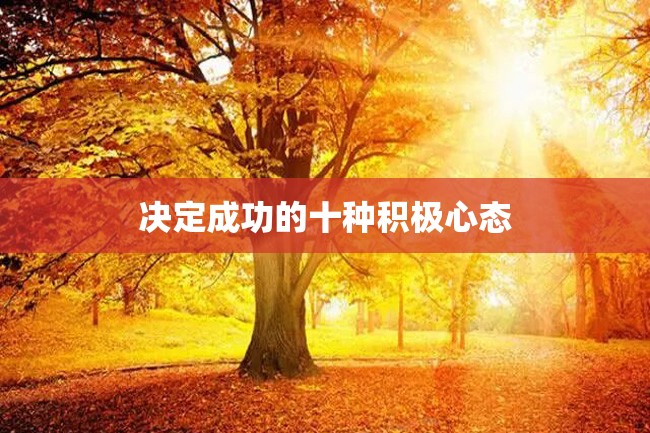 决定成功的十种积极心态