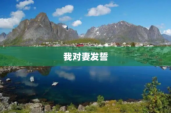 我对妻发誓