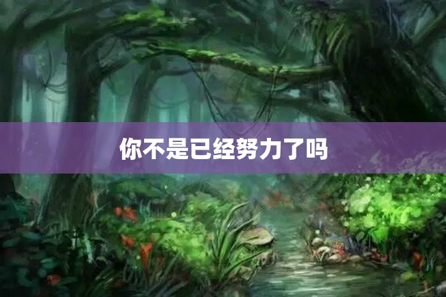 你不是已经努力了吗