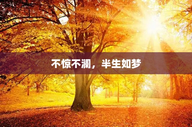 不惊不澜,半生如梦