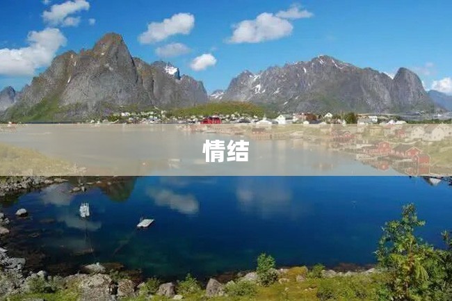 情结